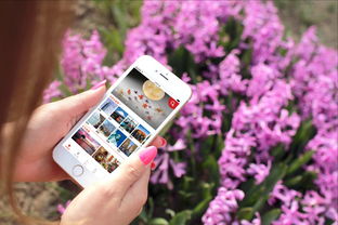 探索世界无限精彩——免费旅游App Mook玩世界